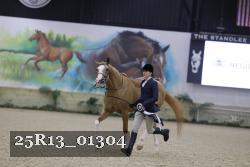 25R13_01304 thumbnail