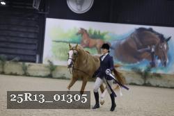 25R13_01305 thumbnail
