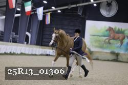 25R13_01306 thumbnail