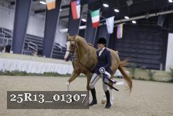 25R13_01307 thumbnail