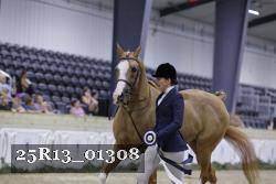 25R13_01308 thumbnail