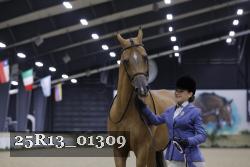 25R13_01309 thumbnail