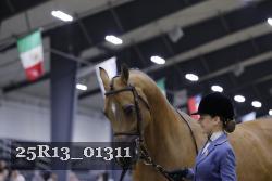 25R13_01311 thumbnail