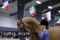 25R13_01312 thumbnail