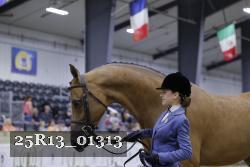 25R13_01313 thumbnail