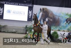 25R13_01314 thumbnail