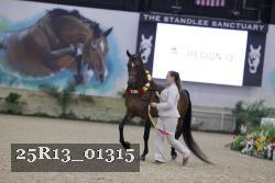 25R13_01315 thumbnail