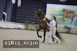 25R13_01316 thumbnail