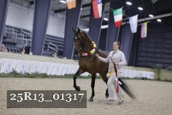 25R13_01317 thumbnail