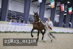 25R13_01318 thumbnail