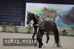 25R13_01319 thumbnail