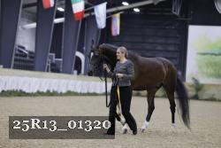 25R13_01320 thumbnail