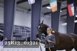 25R13_01321 thumbnail
