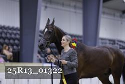25R13_01322 thumbnail