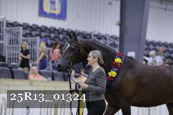 25R13_01324 thumbnail