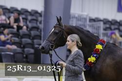 25R13_01325 thumbnail