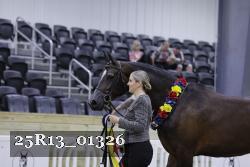 25R13_01326 thumbnail