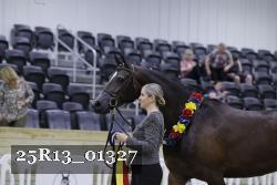 25R13_01327 thumbnail