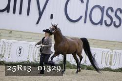 25R13_01329 thumbnail