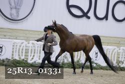 25R13_01331 thumbnail
