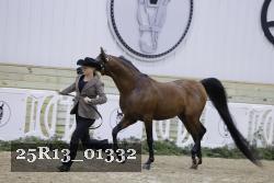 25R13_01332 thumbnail