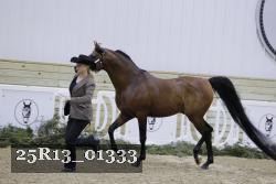 25R13_01333 thumbnail