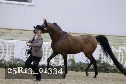 25R13_01334 thumbnail