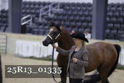 25R13_01335 thumbnail