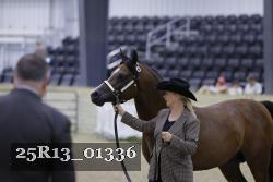 25R13_01336 thumbnail