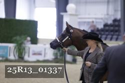 25R13_01337 thumbnail