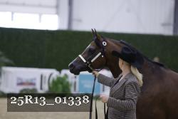 25R13_01338 thumbnail