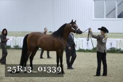 25R13_01339 thumbnail