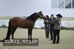 25R13_01340 thumbnail