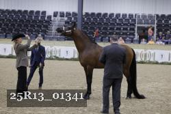 25R13_01341 thumbnail