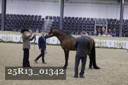 25R13_01342 thumbnail