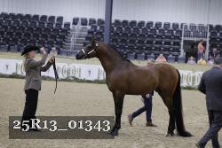 25R13_01343 thumbnail