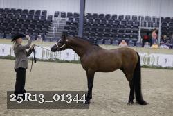 25R13_01344 thumbnail