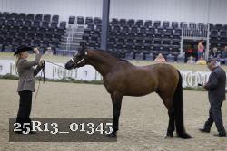25R13_01345 thumbnail