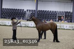 25R13_01346 thumbnail