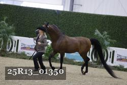25R13_01350 thumbnail