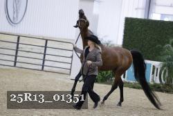 25R13_01351 thumbnail