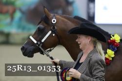 25R13_01353 thumbnail