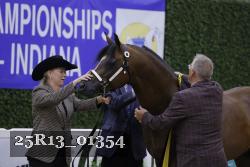 25R13_01354 thumbnail