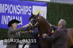 25R13_01355 thumbnail