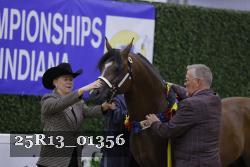 25R13_01356 thumbnail