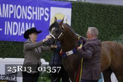 25R13_01357 thumbnail