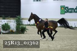 25R13_01362 thumbnail