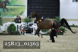 25R13_01363 thumbnail