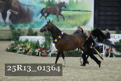 25R13_01364 thumbnail