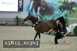 25R13_01365 thumbnail